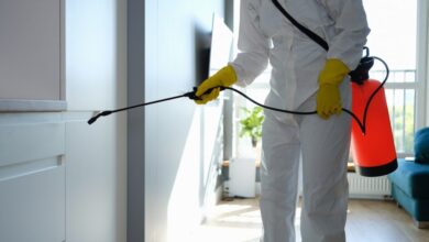 Pest control guide for every Homeowner in Melbourne