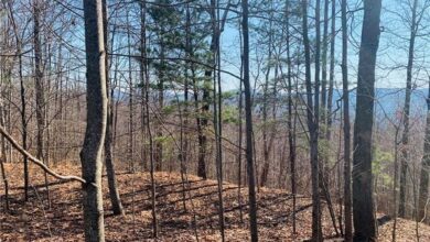 North Georgia's Finest: Invest in Land for Sale Amidst Majestic Mountains