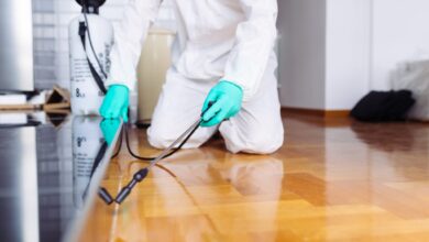 Partnering with Pest Control Professionals: Ensuring Long-Term Results