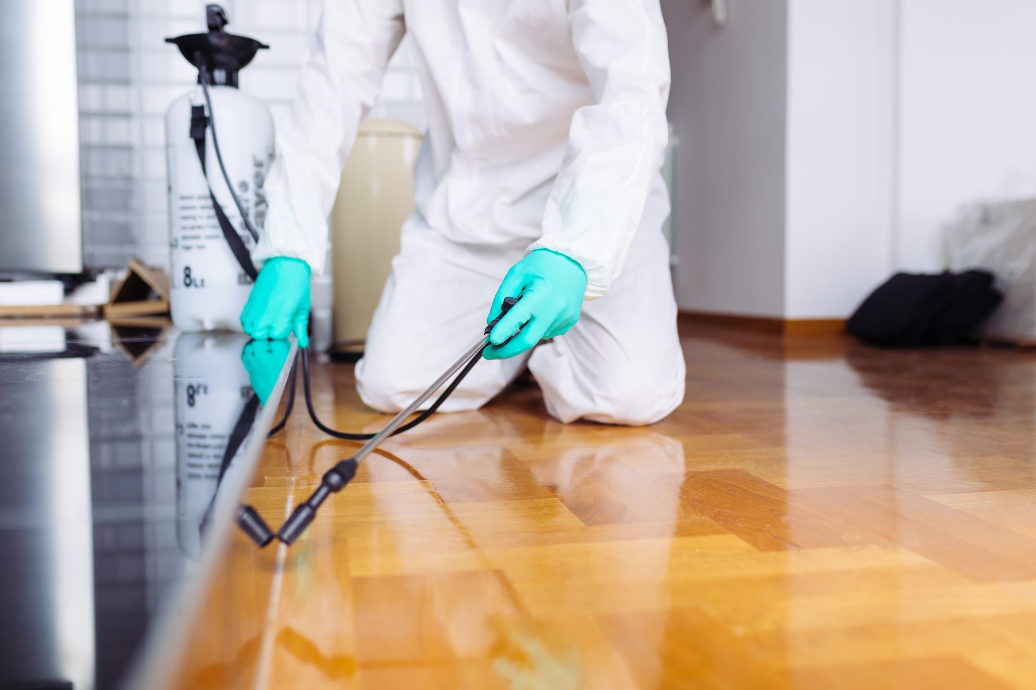 Partnering with Pest Control Professionals: Ensuring Long-Term Results
