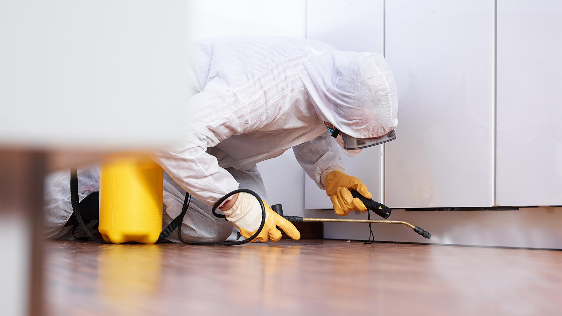 Unearthing the Modern Pest Solution: Insights into a Pest Control Company