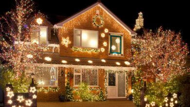 Transform Your Outdoor Space with Expert Christmas Lights Installation