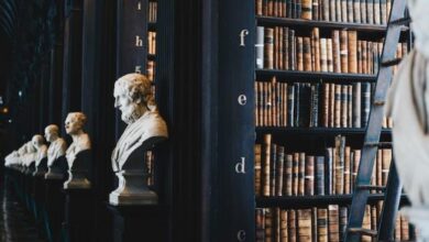 4 Steps to Building a Strong Case with Your Lawyer