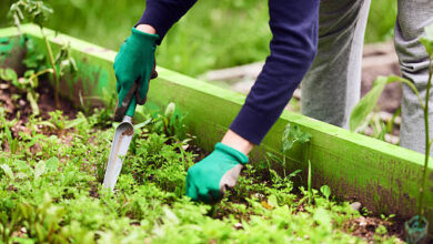 The Magic of Weed Filters: A Simple Solution to Your Gardening Woes