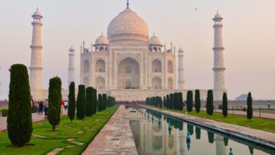 The Role of Language in Indian Identity and Heritage