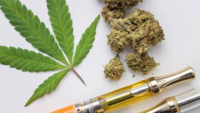 How CBD Vape Pens Are Shaping Canada's Cannabis Industry