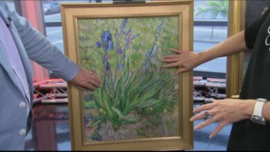 Brush Strokes: Converting Photographs into Artistic Paintings