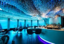 Maldives Unique Underwater Restaurants: Dining in the Deep