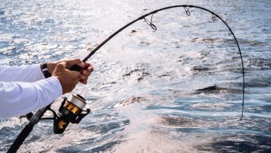 Fishing Rods: Your Ultimate Guide to Choosing the Perfect Gear