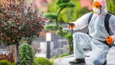 Choosing the Right Pest Control Company: An In-depth Guide to Crucial Considerations