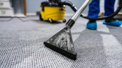 On Choosing Practicality and Safety: Why Carpet Cleaning is a Must