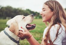 A Guide to Keeping Your Furry Friends Safe and Happy