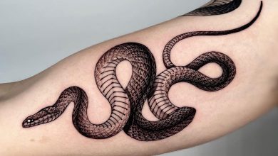 The Symbolism Behind Snake Tattoos: Exploring Myths and Meanings in Calgary