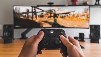 The Ecological Impact of Games