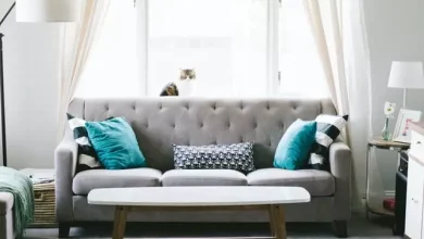 Why Regular Couch Cleaning is Essential for Homes Benefits and Best Practices