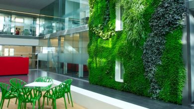 How Living Walls Can Transform Your Business Space