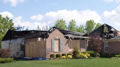 A Complete Guide to Emergency Restoration Services: What to Expect from the Experts