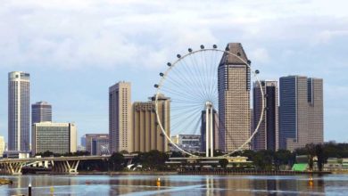 Top Cafes & Restaurants in Singapore to Try in 2025