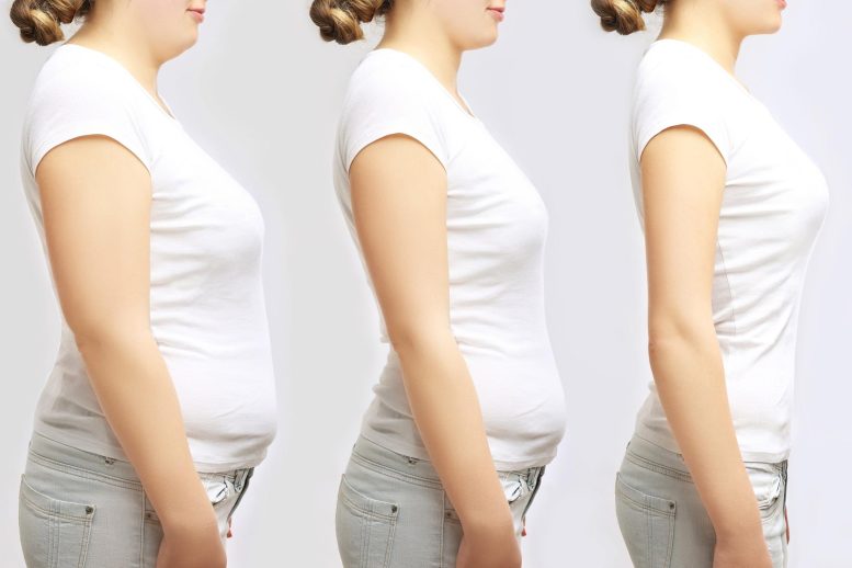 The Science Behind Weight Loss Injections