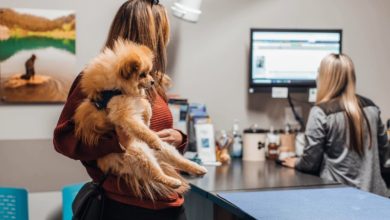 Why Preventive Screenings At Animal Clinics Matter