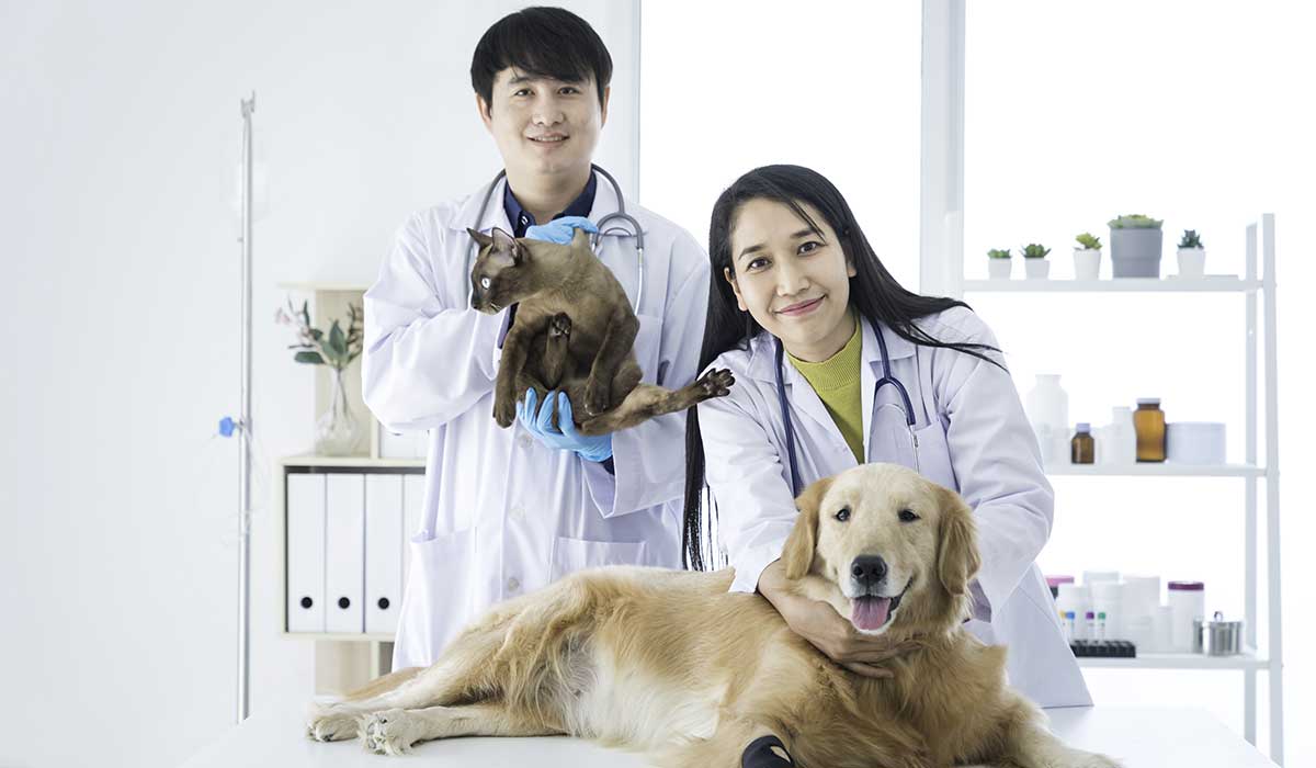 The Connection Between Animal Clinics And Public Health
