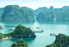 Why Vietnam Tour Packages by Flamingo Travels Are Trending Among Indian Travelers