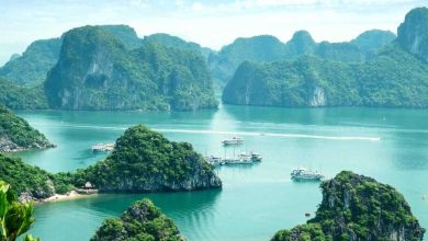 Why Vietnam Tour Packages by Flamingo Travels Are Trending Among Indian Travelers