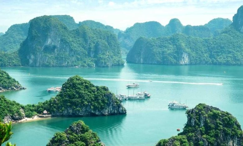 Why Vietnam Tour Packages by Flamingo Travels Are Trending Among Indian Travelers