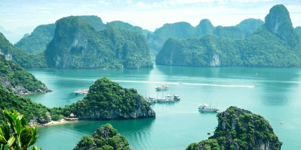 Why Vietnam Tour Packages by Flamingo Travels Are Trending Among Indian Travelers
