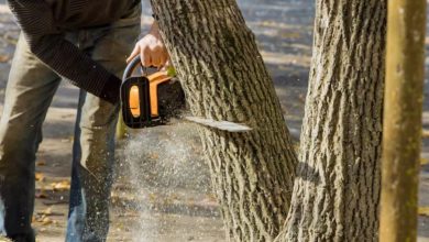 Essential Services to Keep Your Outdoor Space Safe and Well Maintained