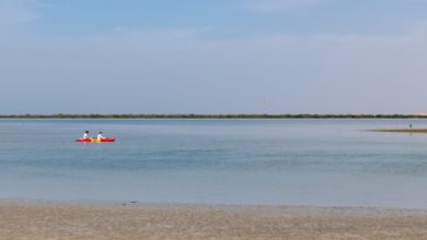 Discover Umm Al Quwain: The Perfect Coastal Destination for a Relaxing Staycation 
