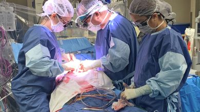 Why Consulting a Thoracic Surgeon Can Be Life-Changing What Patients Need to Know