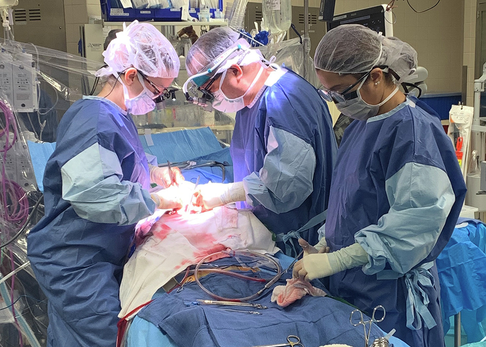 Why Consulting a Thoracic Surgeon Can Be Life-Changing What Patients Need to Know