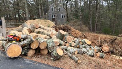 Why lifting, not splitting, wears people out at the woodpile, and what a log lifter changes about the work