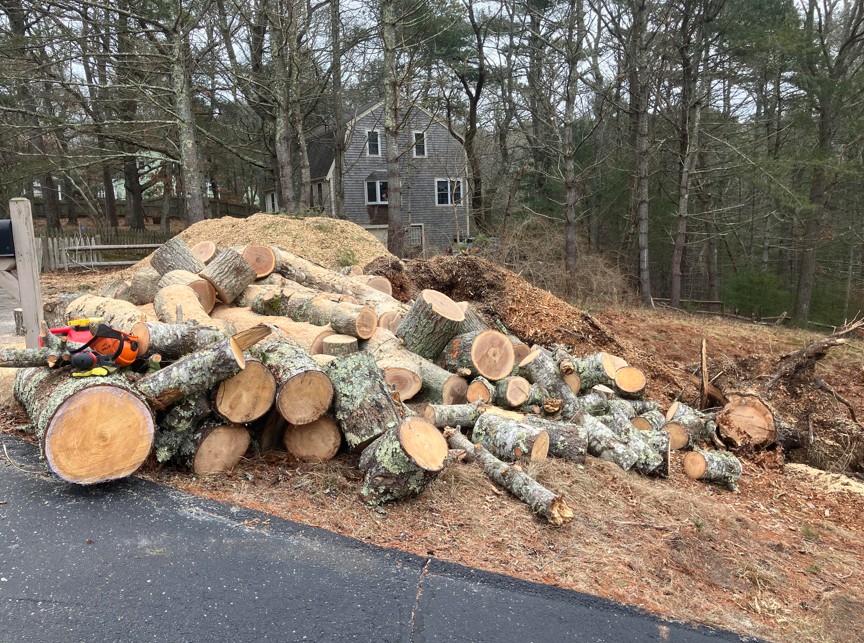Why lifting, not splitting, wears people out at the woodpile, and what a log lifter changes about the work